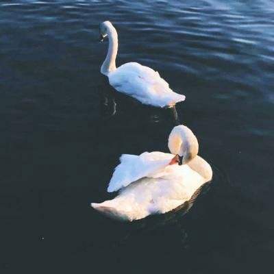 小罗米乐M6官网登录正版下载