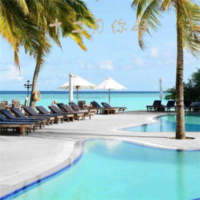 4949澳门免费资料大全下载手机版