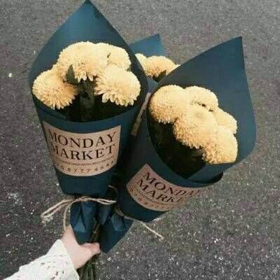 云开官方app下载