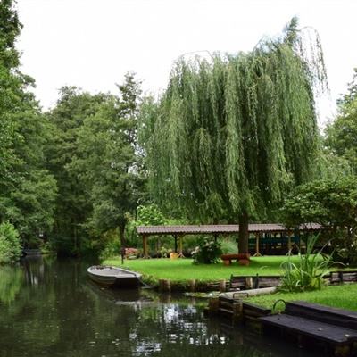 欧宝娱乐APP官方下载