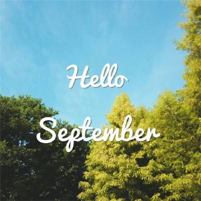 亚博网APP最新版本手机版