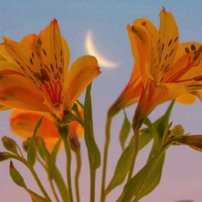 半岛·综合体育下载手机版