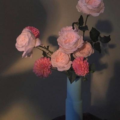 乐鱼竞彩官网app下载