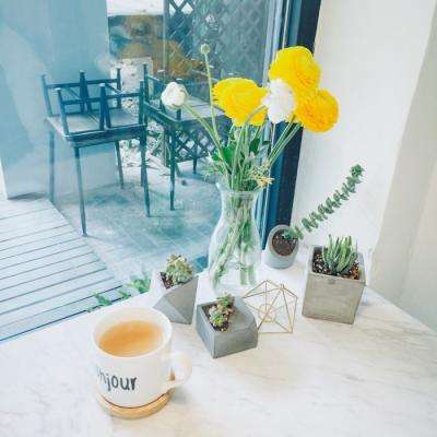 im电竞下载手机版