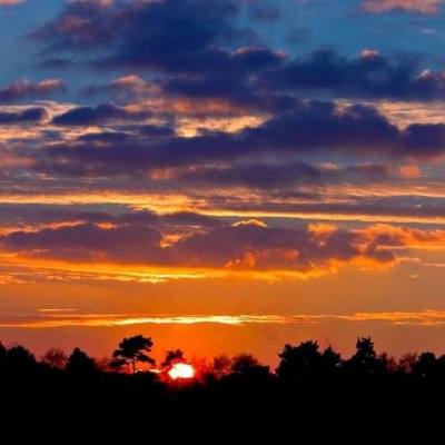 大发彩票手机app下载