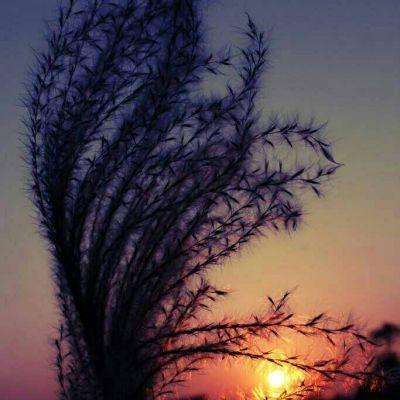 大众彩票入口welcome·官方网站