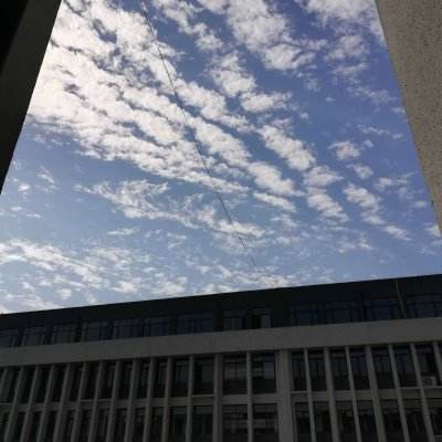 爱体育官方网站下载手机版